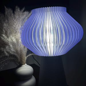 Iva added a photo of their purchase