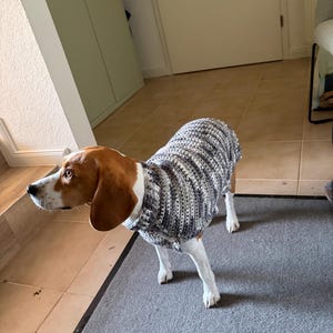 Susanne added a photo of their purchase