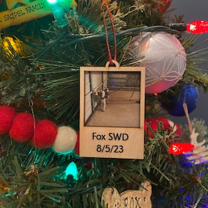 Erika added a photo of their purchase