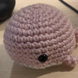 Teresa added a photo of their purchase