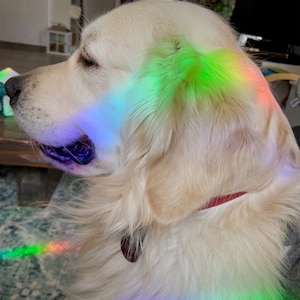 Jule ha aggiunto una foto del proprio acquisto