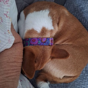 Pamela added a photo of their purchase