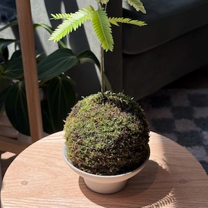 igalang heeft een foto van zijn/haar aankoop toegevoegd