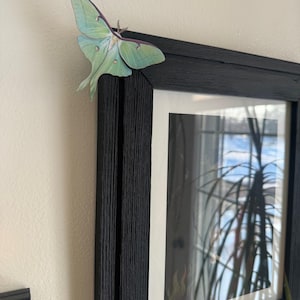 Jennifer added a photo of their purchase