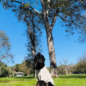 Diana Robles added a photo of their purchase