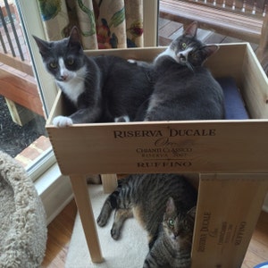 Melissa added a photo of their purchase