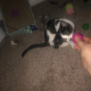 Rebecca added a photo of their purchase