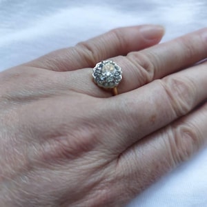 Lindsey added a photo of their purchase