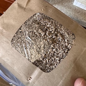 Cats, added a photo of their purchase