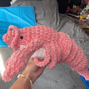 Abi added a photo of their purchase