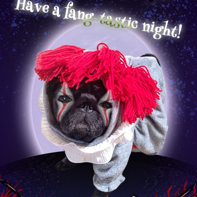 ハロウィン イット ダンシング ピエロ 犬 猫 ペット コスチューム