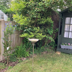 Debra added a photo of their purchase
