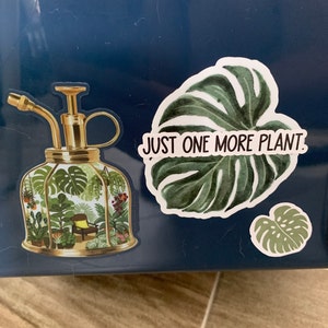 Kelsey added a photo of their purchase