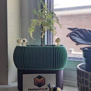 Joni さんが購入した商品の写真を追加しました