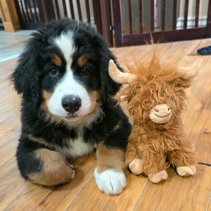 Susan added a photo of their purchase