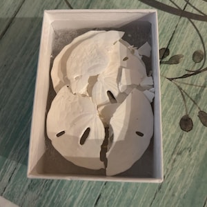 Tanya added a photo of their purchase