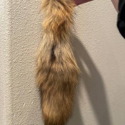 Lucky Rabbit Foot Keychain Charm, Midnight Blue, Real Rabbit Foot. - Etsy