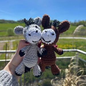 Emily added a photo of their purchase