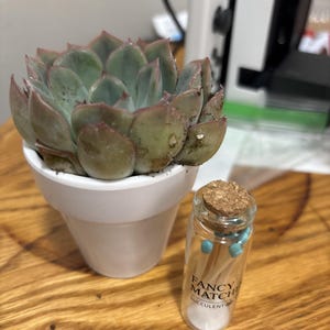 Dominique added a photo of their purchase