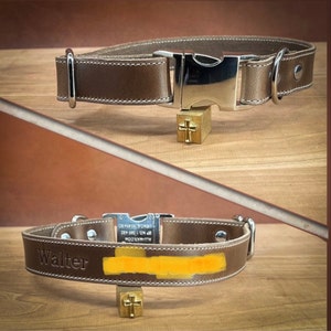 Leather Dog Collar - RECNEPS DESIGN
