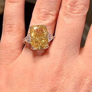 Ashley added a photo of their purchase