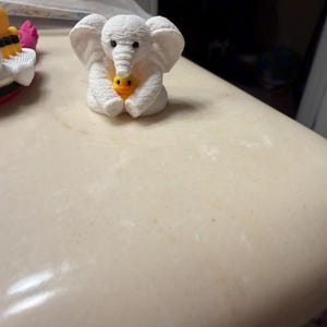 Elizabeth added a photo of their purchase