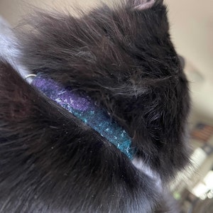 Ashlyn added a photo of their purchase
