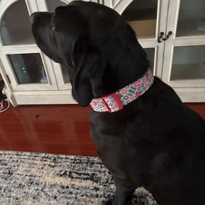 Melissa added a photo of their purchase
