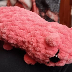 Plush added a photo of their purchase