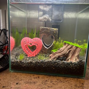 Skyler added a photo of their purchase