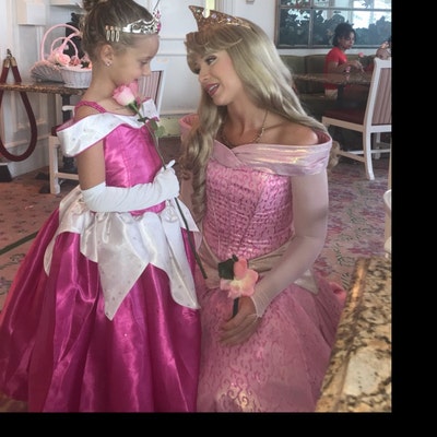 Sleeping Beauty Dress / Inspired Disney Princess Dress Aurora Costume ...