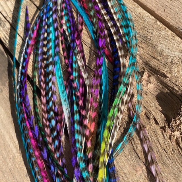 Feather Hair Extensions, 100% Real Rooster Feathers, Long Pink, Purple,  Grizzly Colors, 20 Feathers with 20 Silicone Microlinks and loop tool 