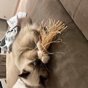 Ella added a photo of their purchase