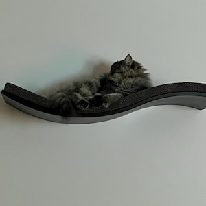 Tracy added a photo of their purchase