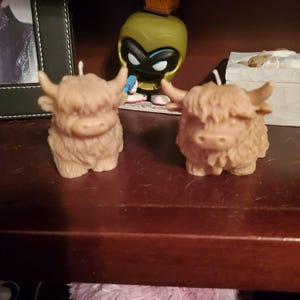 Rachel added a photo of their purchase