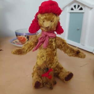 Fiona added a photo of their purchase
