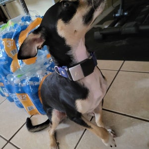 Alejandro added a photo of their purchase