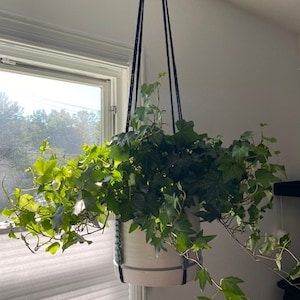 Etsy-koper heeft een foto van de aankoop toegevoegd