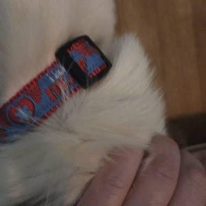 Elisabeth heeft een foto van zijn/haar aankoop toegevoegd