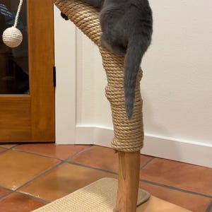JonathanWitt added a photo of their purchase
