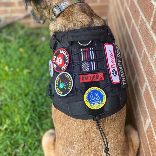 Canine Good Citizen Patch/iron-on Patch/dog Breed/family Pet/working K9 ...