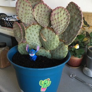 Rewa added a photo of their purchase