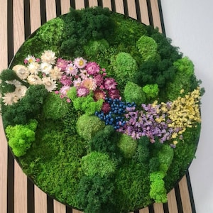 Christiane hat ein Foto des gekauften Artikels hinzugefügt