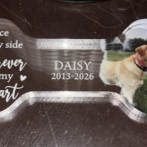 Molly added a photo of their purchase