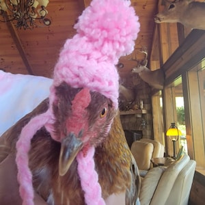 Chicken Hat With Ties - Etsy