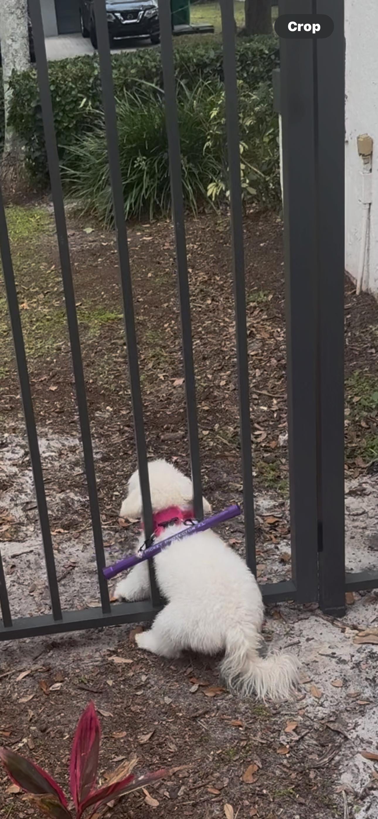 Picket Protector (Harness Not Included)
