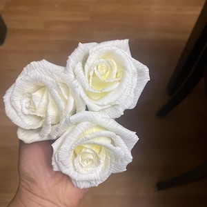 Sanjuana added a photo of their purchase