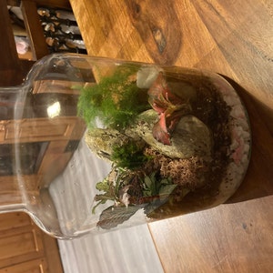 Lois added a photo of their purchase