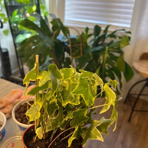 stephanie added a photo of their purchase