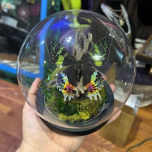 Lezette added a photo of their purchase